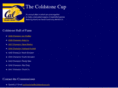 coldstonecup.com