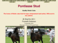 pontlasse.com