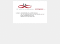 vip-union.com