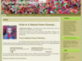 yournaturalremediesguide.com