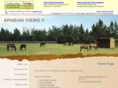 arabianviews2hoa.org