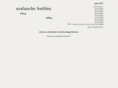 avalanchehotline.com