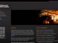 diamondfiresafety.com