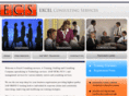excel-consulting.net