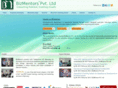 bizmentors.net