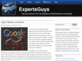 expertsguys.com