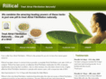rillical.com