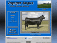 voyagerangus.com