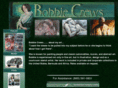 bobbiecrews.com