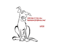 healdsburgdoghouse.com