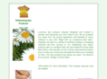 verinasalts.com