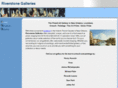 riverstonegalleries.net