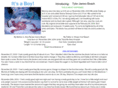tjbeach2003.com