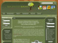 balancedbrainchiropractic.com