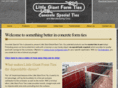littlegiantformties.com