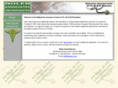 noleninc.com