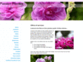 passion-plantes.com