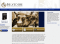 belvederesolutions.com