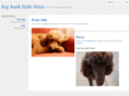 bigbarklittlebites.com