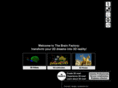 thebrainfactory.com