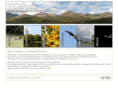 vidifocus.net