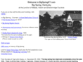 bigspringky.com
