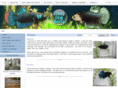 crazydogbetta.com