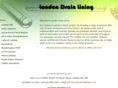 londondrainlining.com