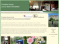 troustrie.com