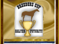 breederscuphalterfuturity.com