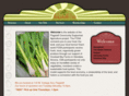 flagcsa.com