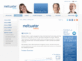 meltwatertalent.biz