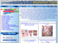 multicolorsigns.com