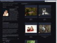 susannaroland.com