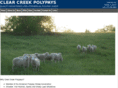 clearcreekpolypays.com