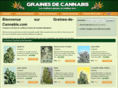 graines-de-cannabis.com