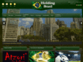 holdingbrasil.com