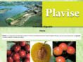 plavise.com