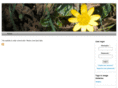 jmsbuild.com