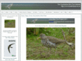 lincsbirdclub.co.uk