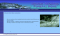minormorrisfuneralhome.com
