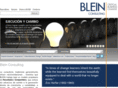 bleinconsulting.com