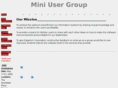miniusergroup.com