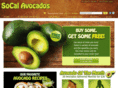 avocadoaficionado.com