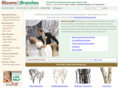 decorativebranches.com