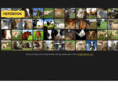 herdbook.com