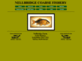 nellbridgefishery.com