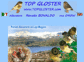 topgloster.com