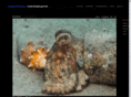 immersion-photography.com