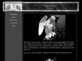 jamescaruso.com